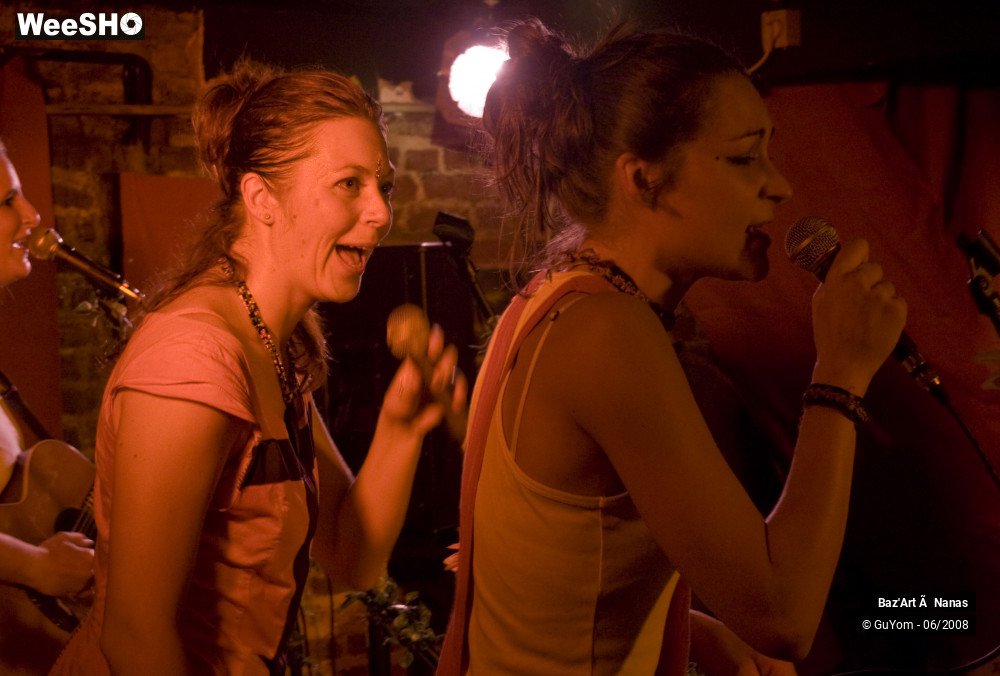 15/35 photos du spectacle Baz'Art à Nanas